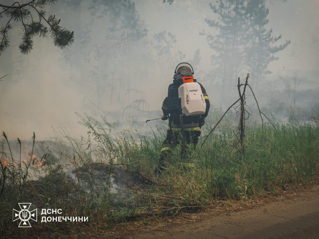 У Лимані рятувальники ліквідували масштабну лісову пожежу