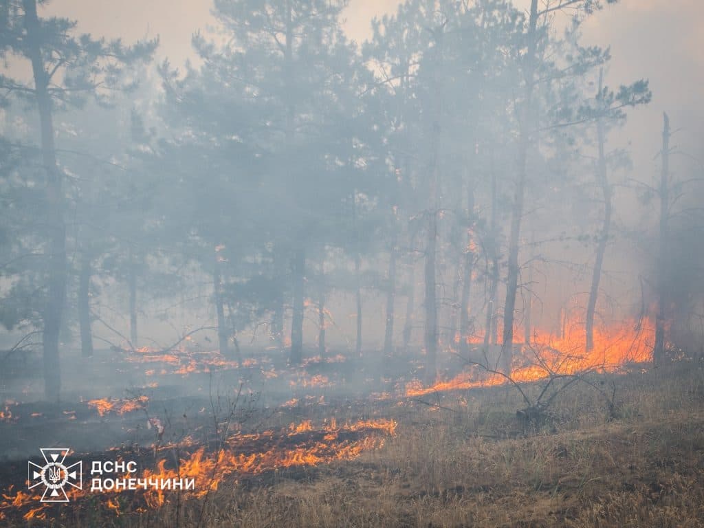 У Лимані рятувальники ліквідували масштабну лісову пожежу