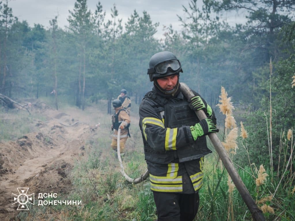 У Лимані рятувальники ліквідували масштабну лісову пожежу