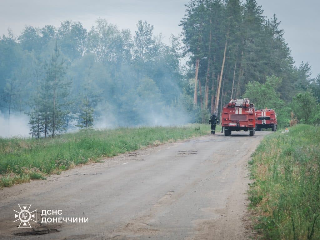 У Лимані рятувальники ліквідували масштабну лісову пожежу