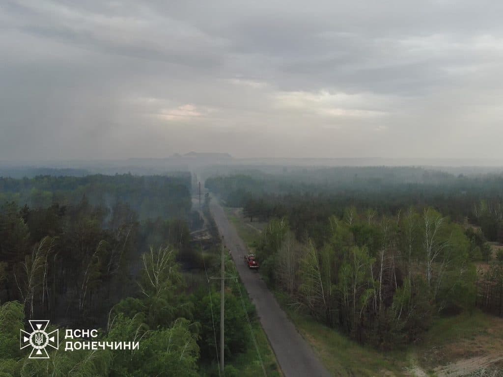 У Лимані рятувальники ліквідували масштабну лісову пожежу