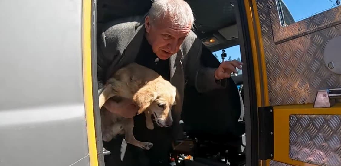 евакуація чоловіка та собаки