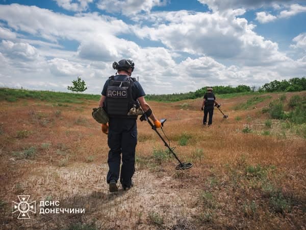 сапери дснс донеччини