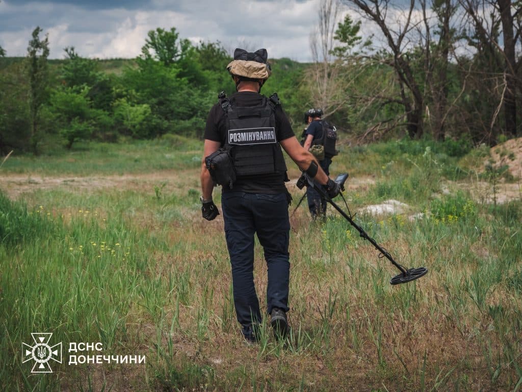 сапери дснс донеччини