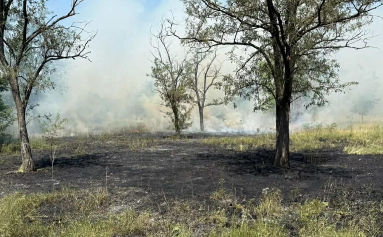 У Краматорському районі сталося дві пожежі у лісовому масиві Дробишевського лісництва