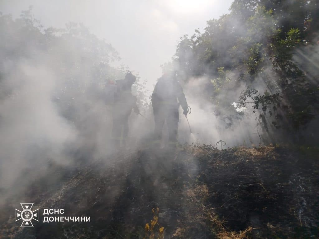У Краматорському районі сталося дві пожежі у лісовому масиві Дробишевського лісництва