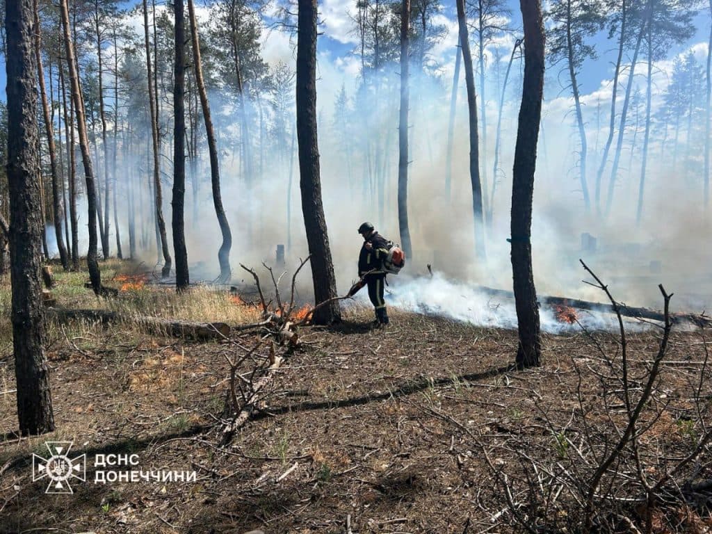 пожары в Донецкой области