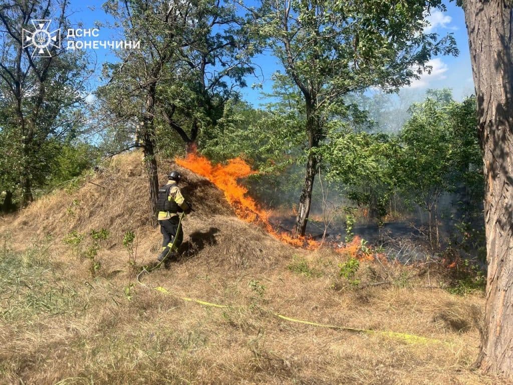 пожары в Донецкой области