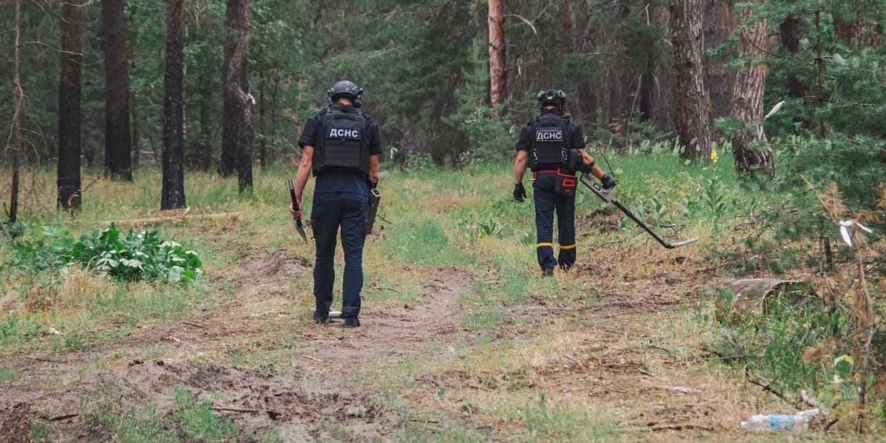 сапери дснс донеччини