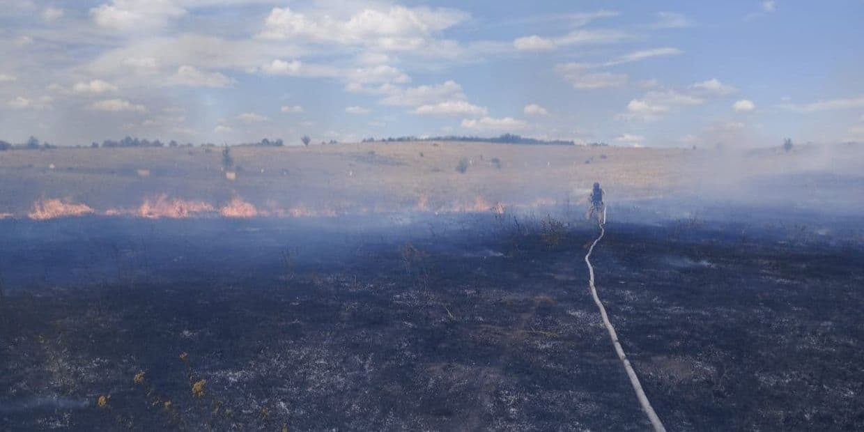 Пожежа на відкритій території. Фото: ДСНС Донеччини