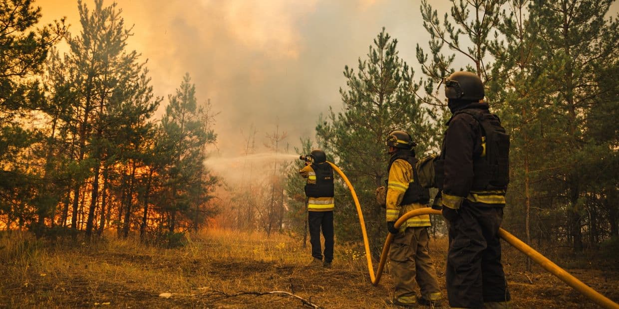 <em>Тушение пожара в лесу. Фото: ГСЧС Донетчины</em>