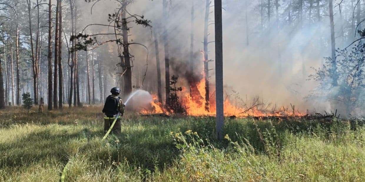 У регіоні вирують пожежі. Фото: ДСНС Донеччини