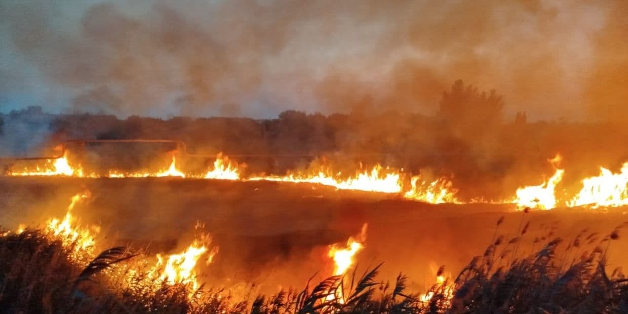 <em>Пожар в экосистеме. Фото: ГСЧС Донетчины</em>