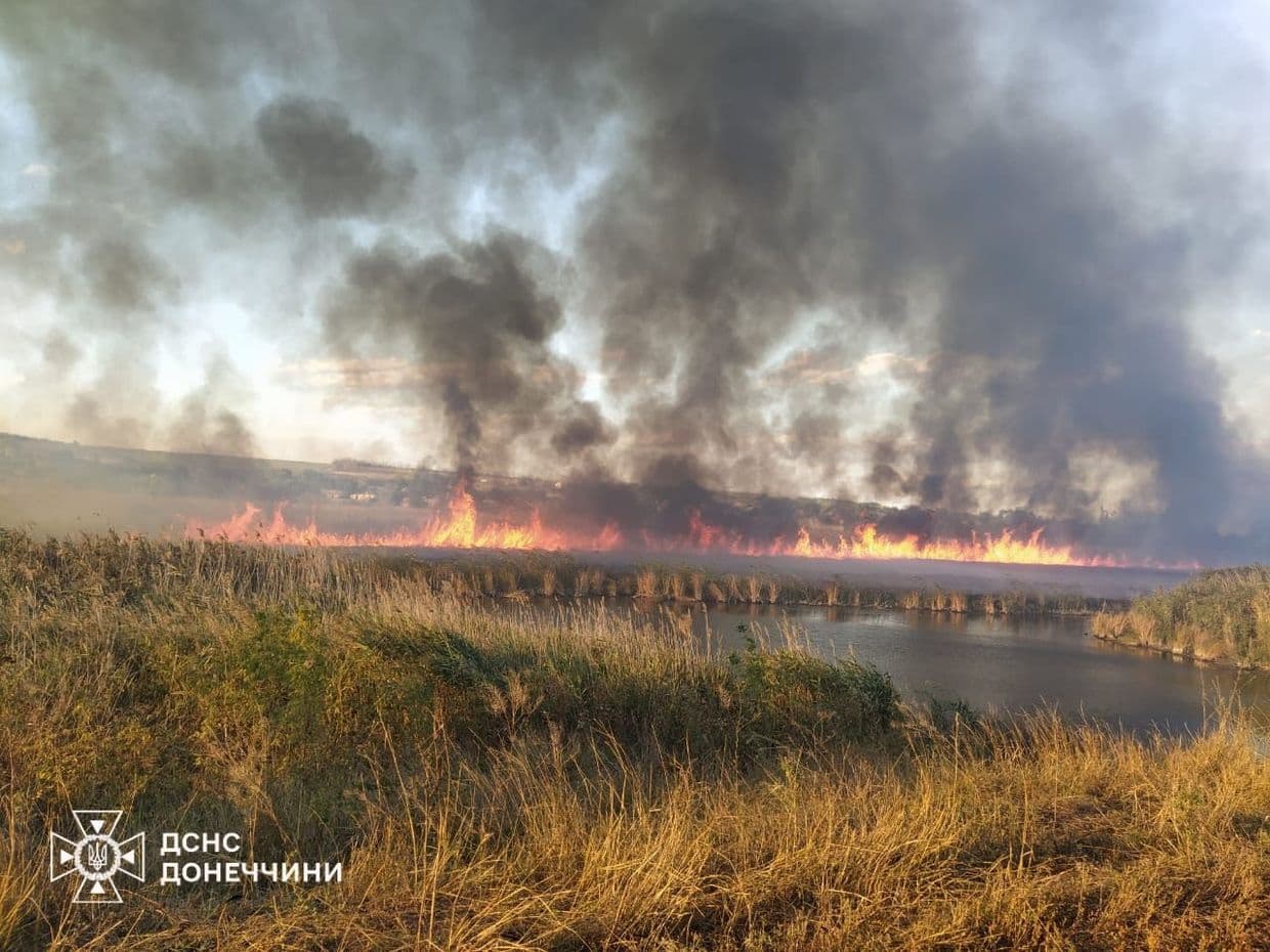 9 гектарів природних екосистем горіли на Донеччині, фото-2 9 гектарів природних екосистем горіли на Донеччині, фото-2