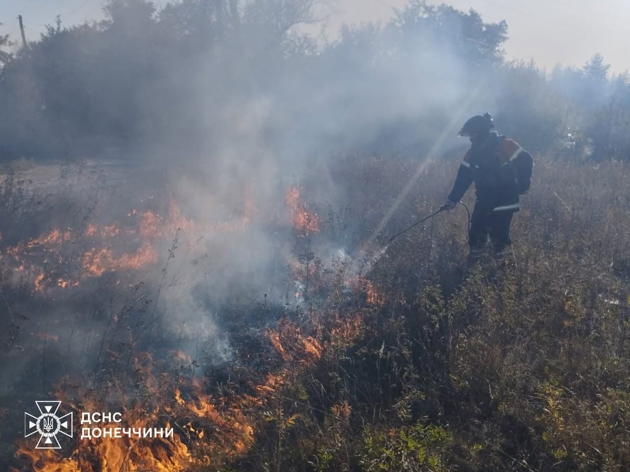 <em>На Донеччині рятувальники ліквідували шість пожеж у лісах та на відкритих територіях. Фото: ДСНС</em>