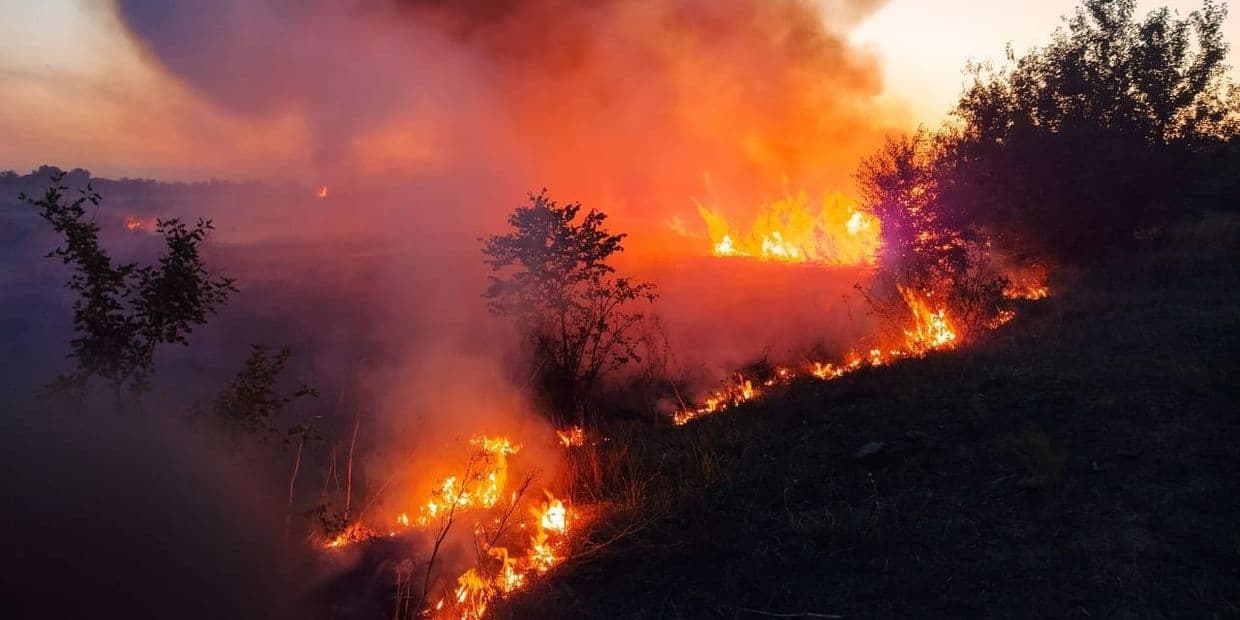 <em>Пожежа на відкритій території 12 вересня 2025 року. Фото: ДСНС... <em>Пожежа на відкритій території 12 вересня 2025 року. Фото: ДСНС Донеччини</em>