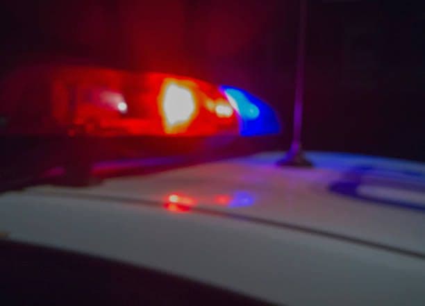 <em>Полицейские маячки. Фото: iStock</em>