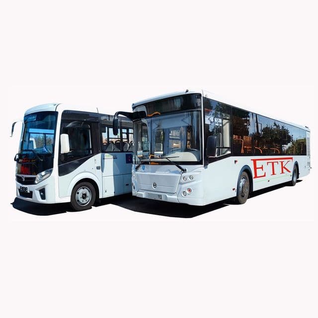 <em>Автобусы. Фото из открытых источников</em>