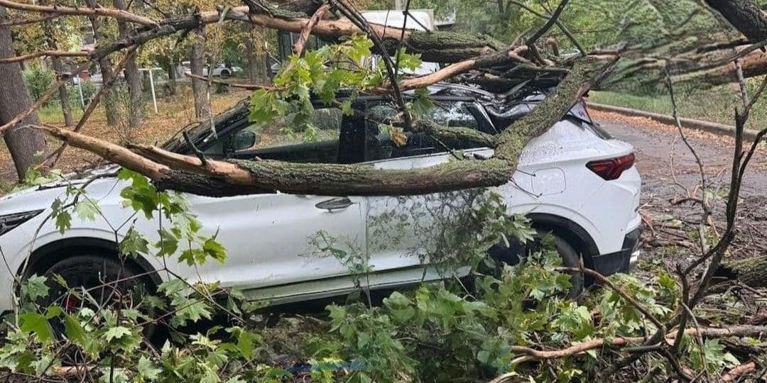 <em>Гілка впала на автівку в окупованому Донецьку. Фото з відкритих джерел</em>