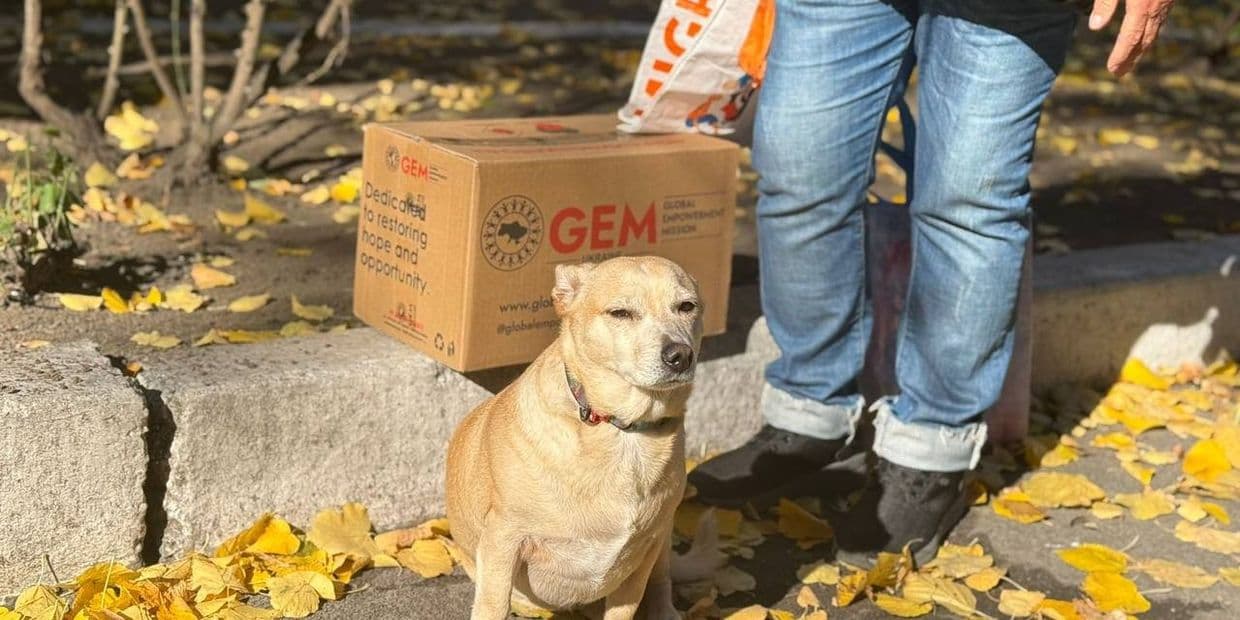 <em>Продуктовый набор от Global Empowerment Mission Ukraine. Фото: СЕЛИДОВО.UA</em>