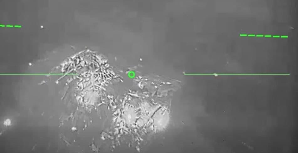 <em>Скриншот з відео ССО</em>