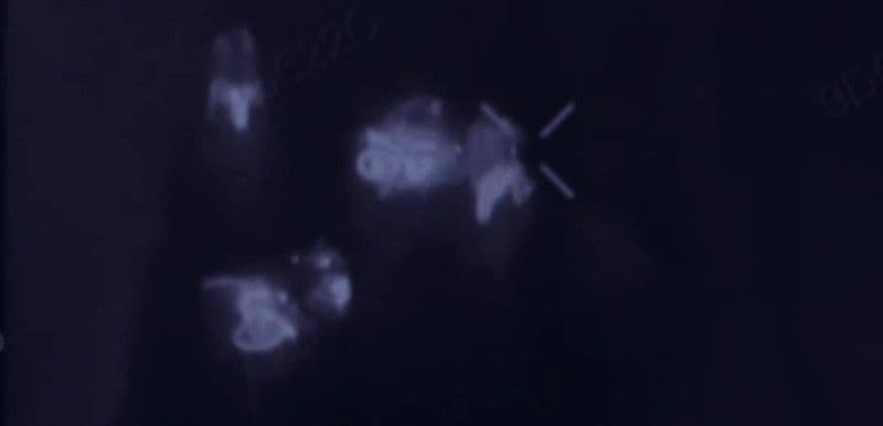 Прикордонники знищили на Лиманському напрямку російських штурмовиків на мотоциклах (відео)