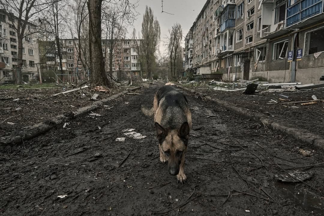 <em>Покровськ, квітень 2025 року. Фото: <a href="https://www.instagram.com/libkos/">libkos</a></em>