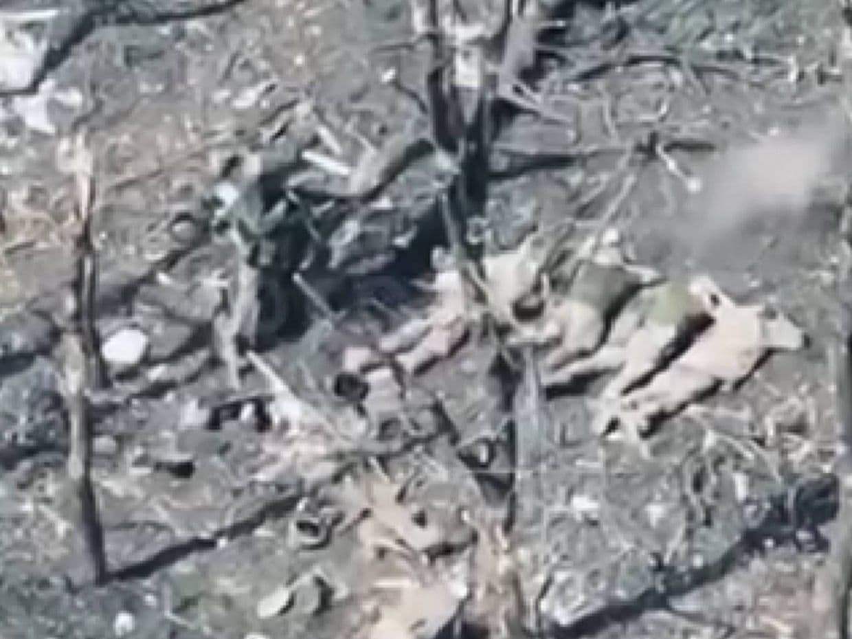 На Покровському напрямку війська рф розстріляли 5 полонених військовослужбовців ЗСУ: розпочато розслідування