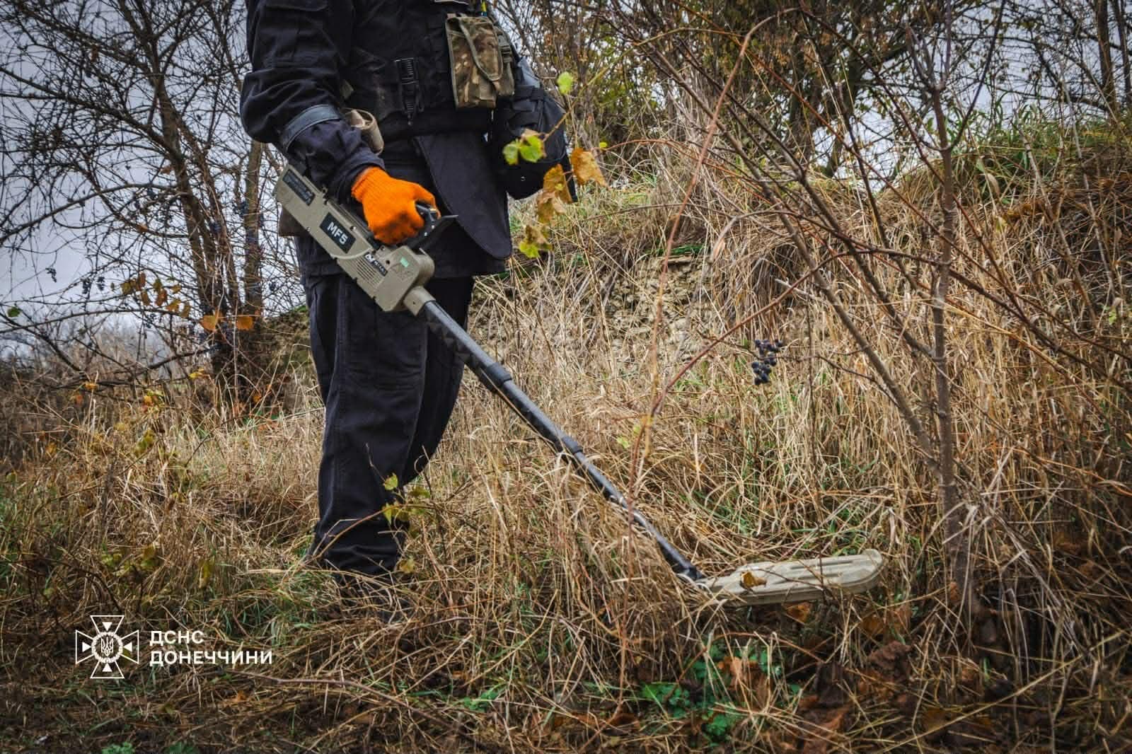 <em>Розмінування на Донеччині. Фото: ДСНС</em>