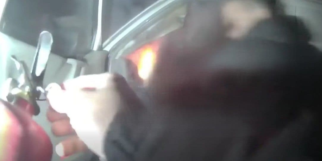 <em>Скриншот з відео патрульної поліції Краматорська та Слов'янська</em>