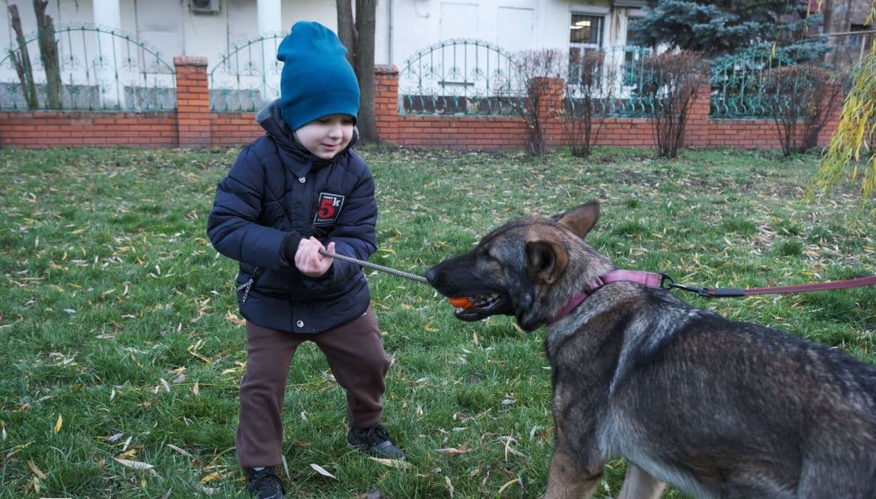 Хлопчик грає з собакою. Фото: ДСНС Донеччини