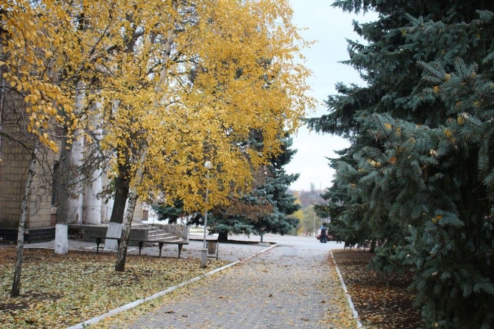 <em>Микільська громада. Фото: Микільська СВА</em>