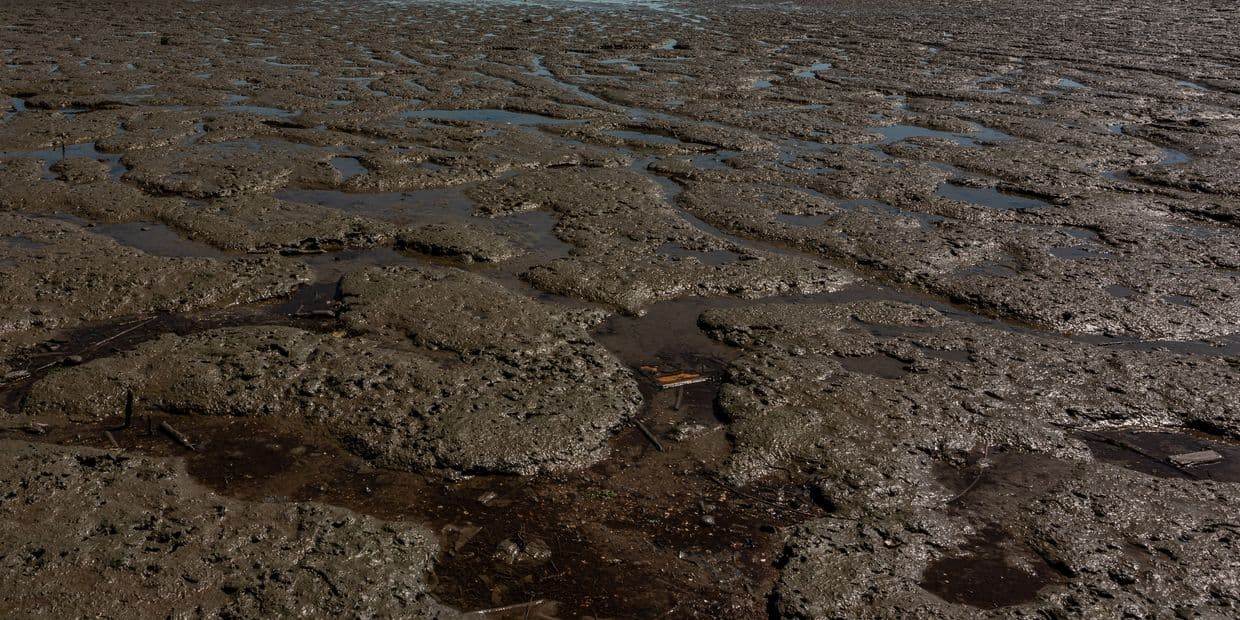 <em>Зміліле озеро. Фото: Freepik</em>