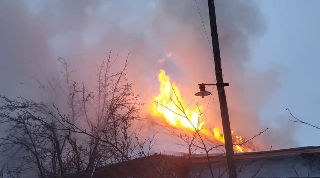 <em>Пожежі на Донеччині. Фото: ДСНС</em>