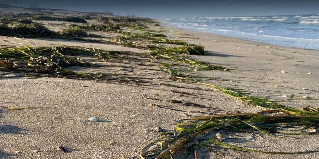 На берегу моря. Фото: ЦПД