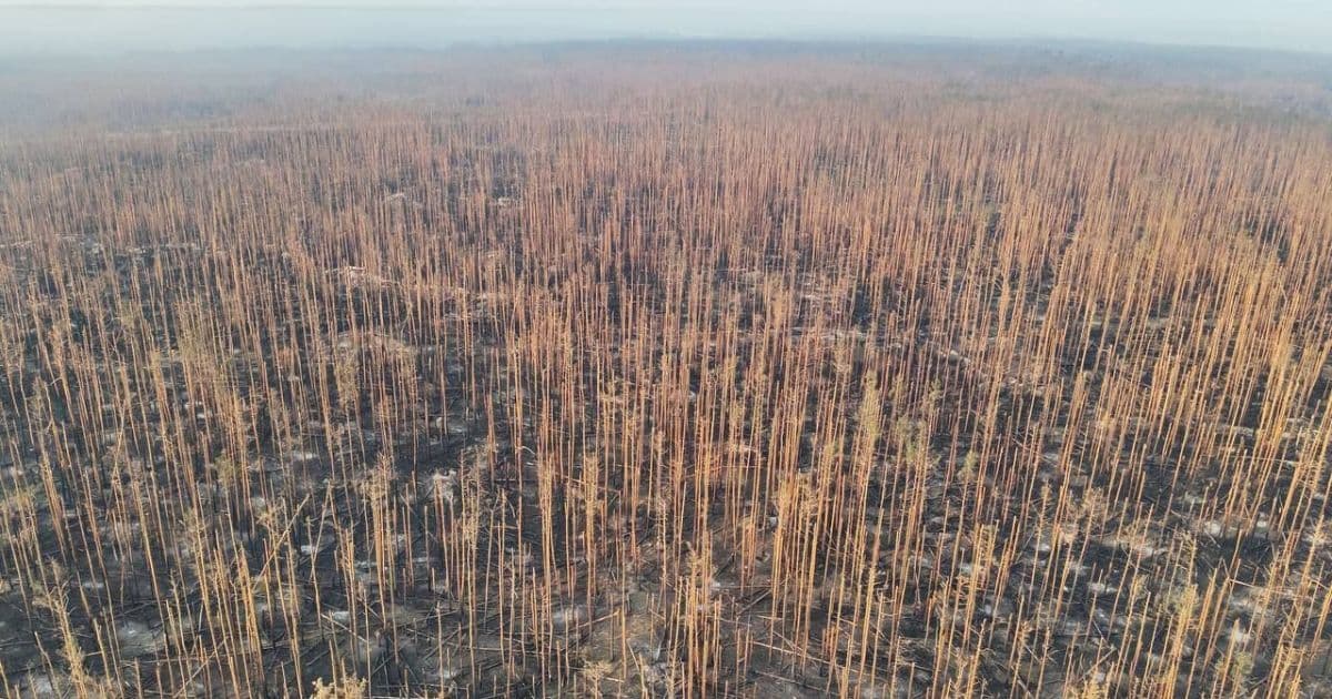 Еще более 30 миллиардов гривен ущерба окружающей среде Луганщины, нанесенного россией: результаты экологической инспекции