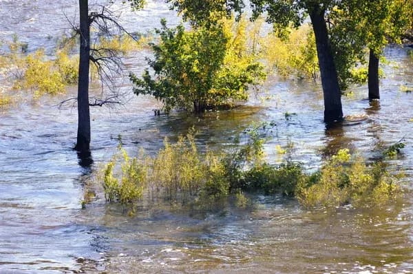 <em>фото: <a href="https://depositphotos.com/ru/portfolio-5126157.html?content=photo">Trek13</a>, depositphotos.com. Повінь</em>