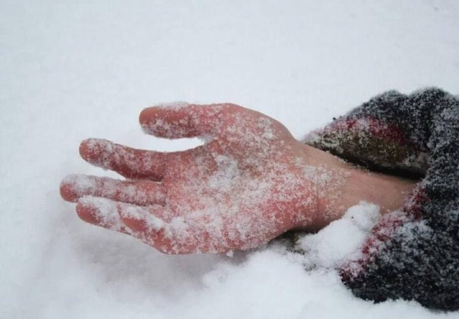 Фото: Маріупольська міська рада