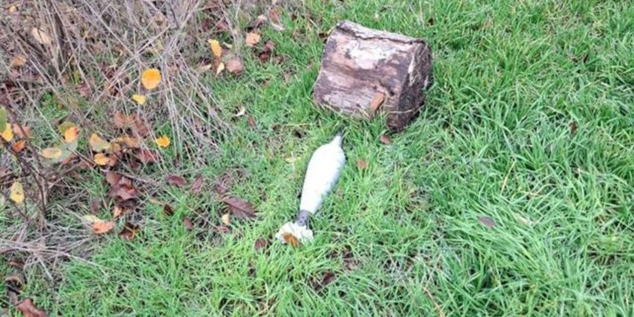 На Донеччині виявили ще близько 10 вибухонебезпечних предметів (фото)