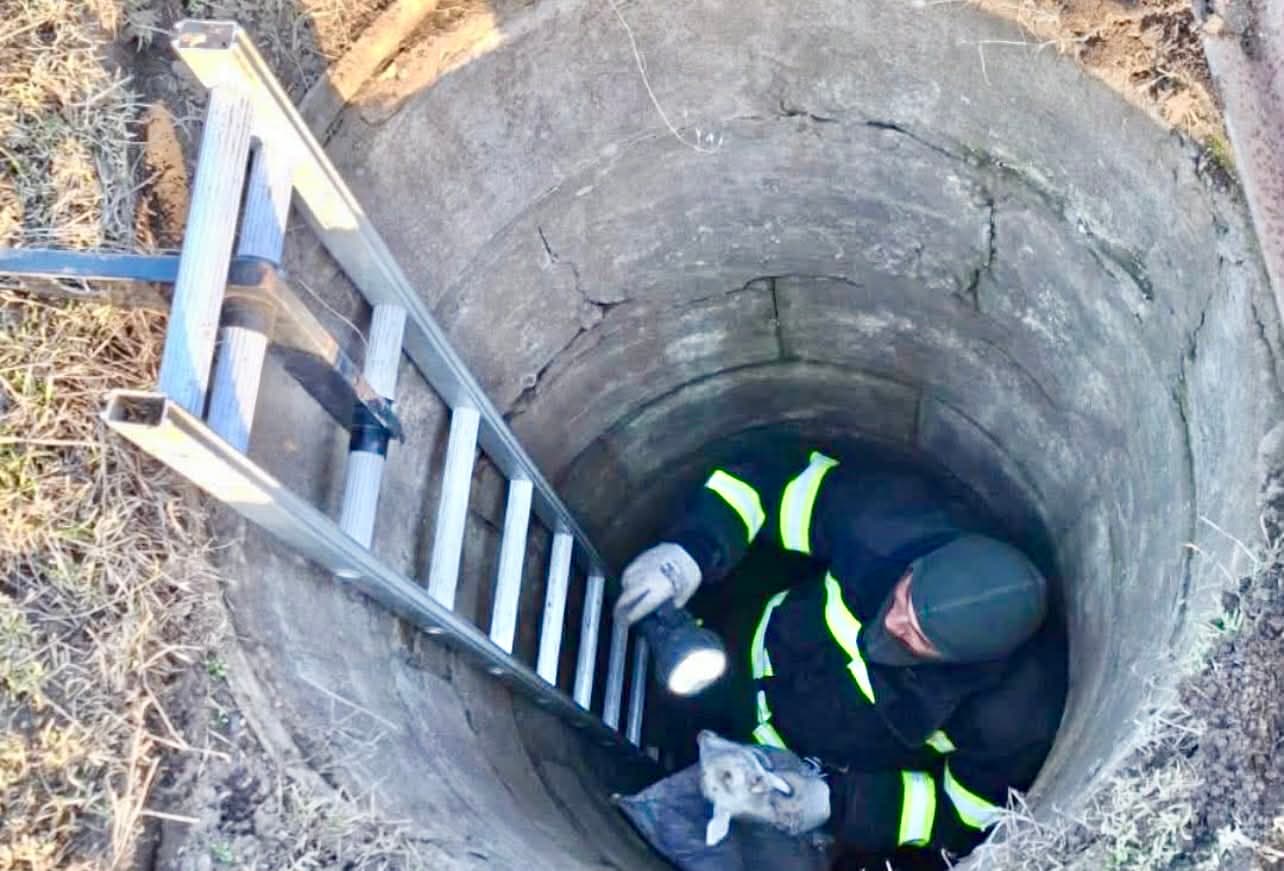 У Краматорську надзвичайники врятували козеня з 6-метрового колодязя