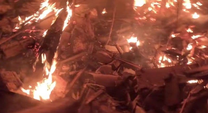 В Дружковке огнеборцы спасли собаку из-под пылавших после авиаудара завалов (видео)