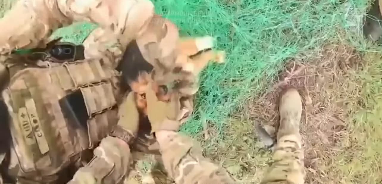 Бойцы полицейского полка "Лють" в окрестностях Константиновки спасли собаку и овцу из антидроновой сетки (видео)