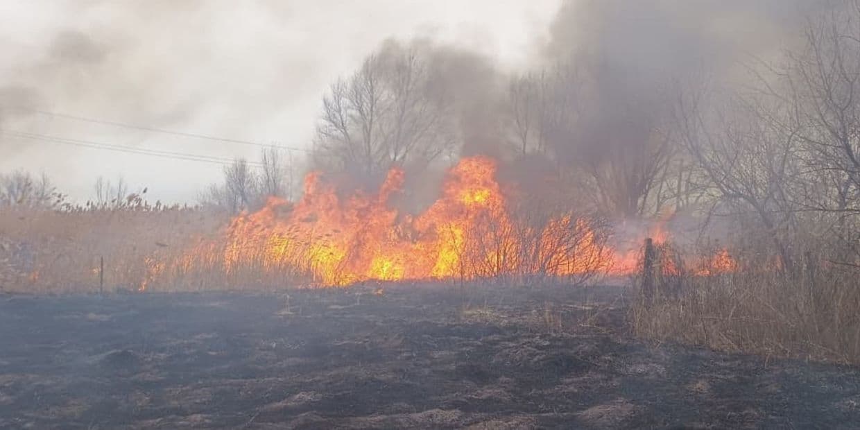 Цьогоріч на Донеччині вже вигоріли понад 10 га відкритих територій