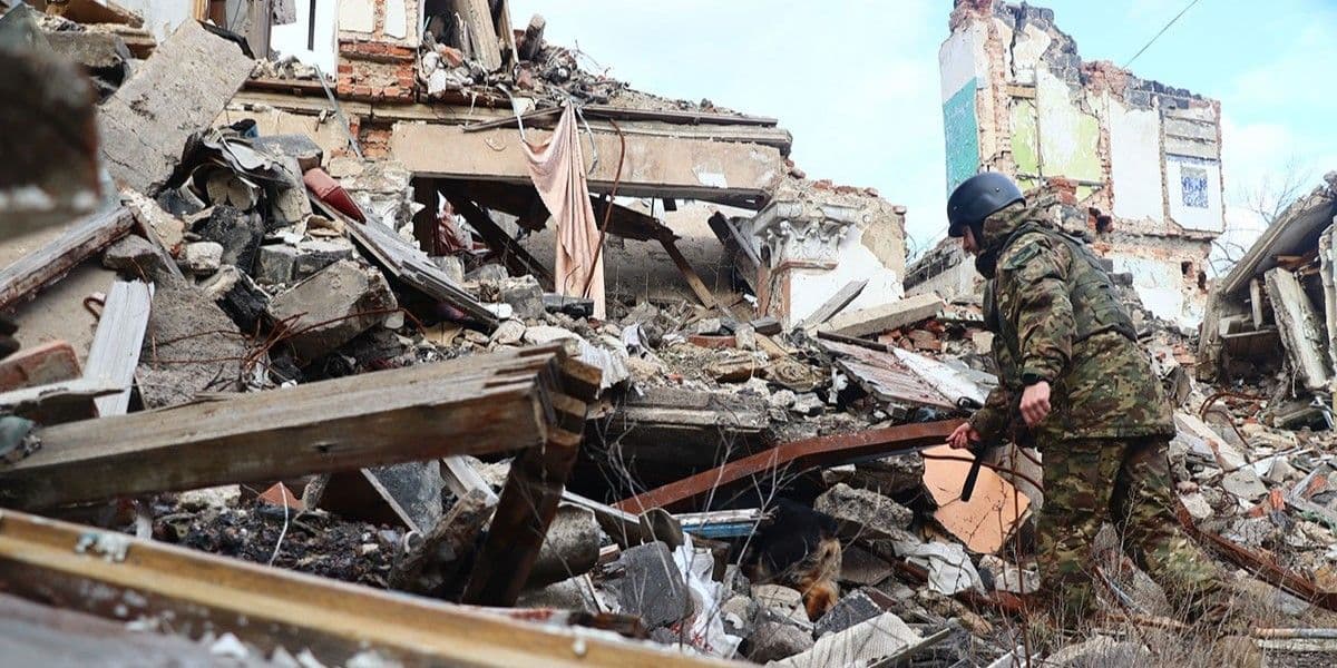 Службові собаки поліції Донеччині допомогли розкрити 3 вбивства та виявили 900 одиниць зброї (фото)