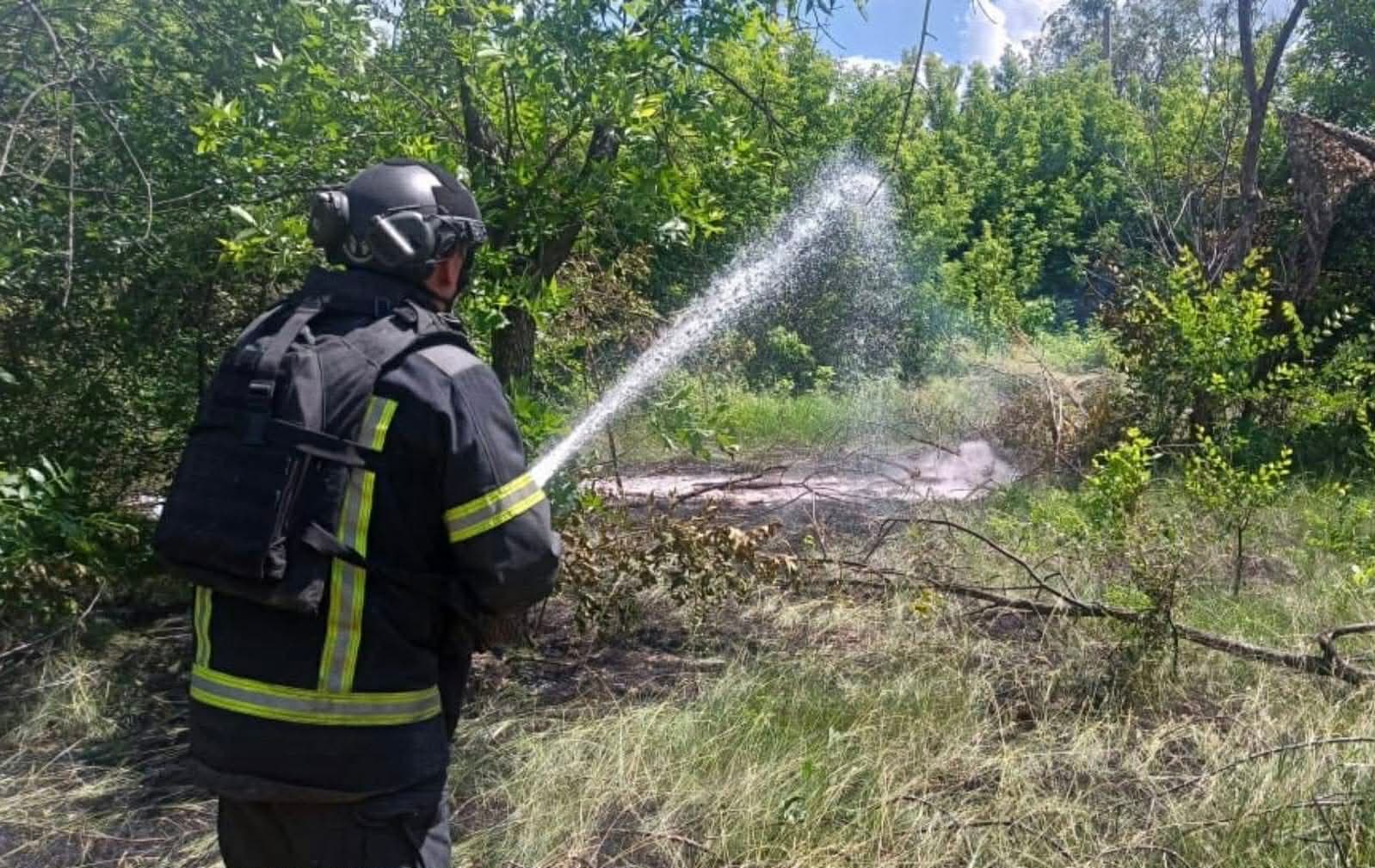 <em>В Донецкой области спасатели за сутки потушили 6 пожаров. Фото: ГСЧС</em>