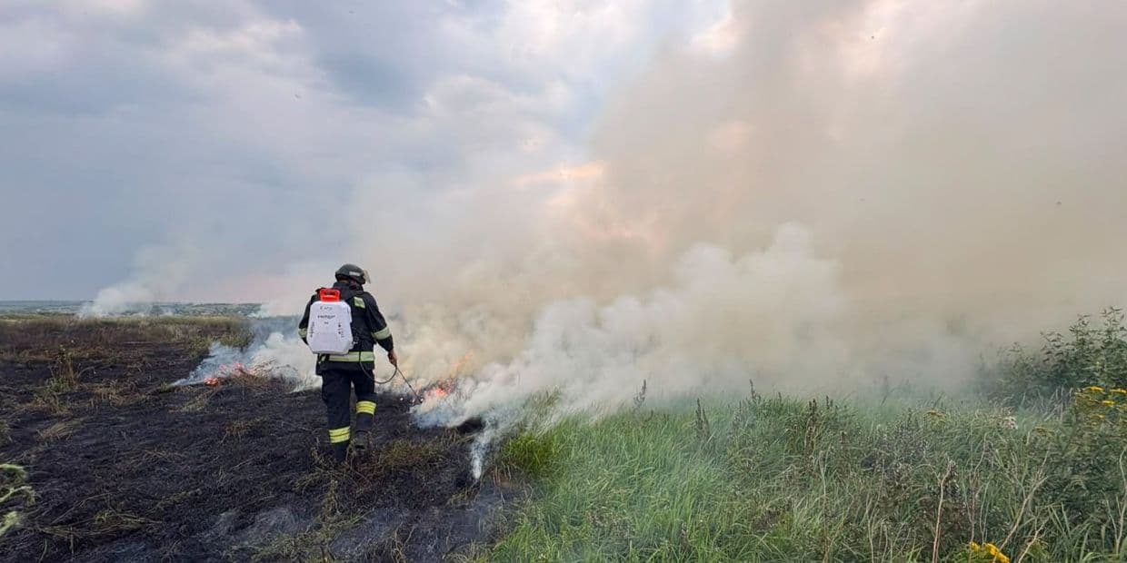 Вогонь на відкритій місцевості ледь не знищив вулицю у Слов'янську на Донеччині (фото)