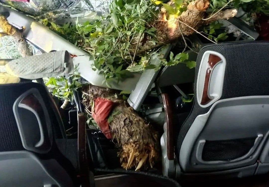 В ДТП под оккупированными Ровеньками пострадали пассажиры автобуса "Москва-Донецк" (фото)