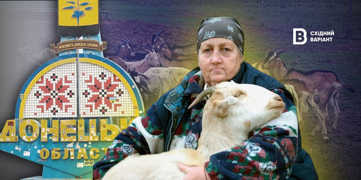 Как фермерка из Донетчины вывела украинскую породу коз и эвакуировала стадо животных
