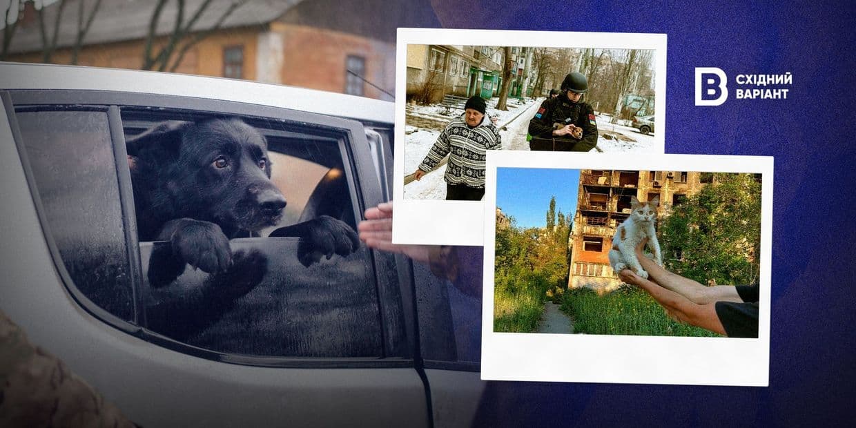 «Евакуюйтеся! Але без тварин»: з чим стикаються переселенці, які виїжджають разом із домашніми улюбленцями