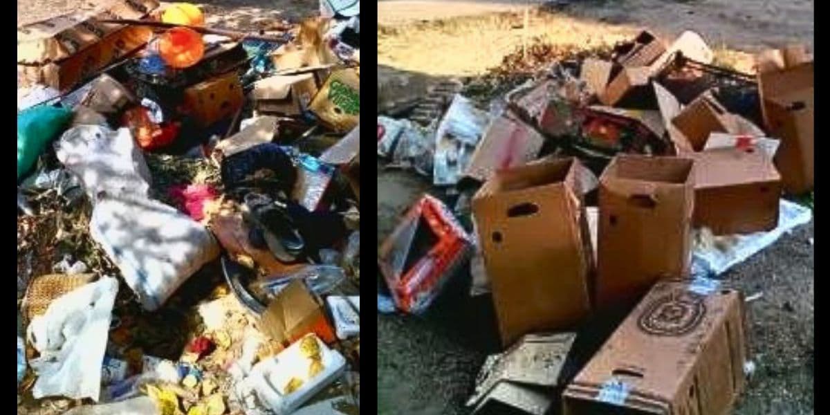 Сміття в окупованому Рубіжному. Фото з відкритих джерел